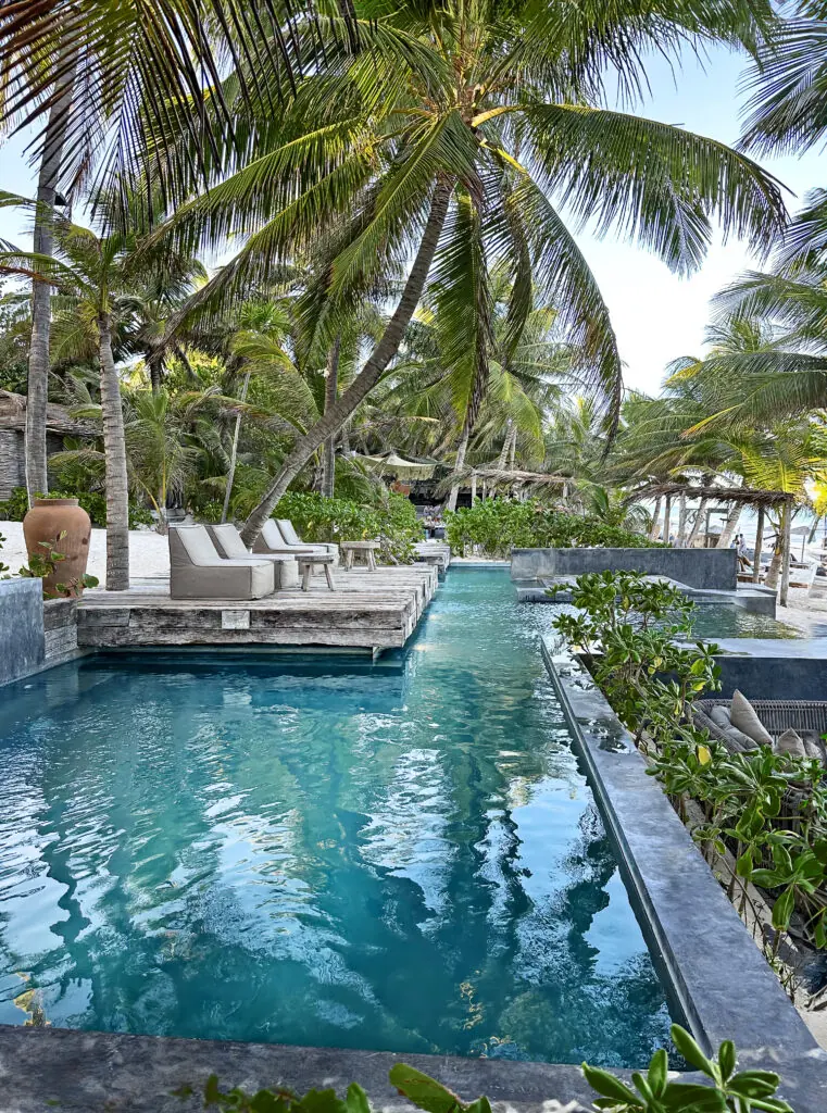 Piscina e deck sob coqueiros em propriedade de wellness em Tulum